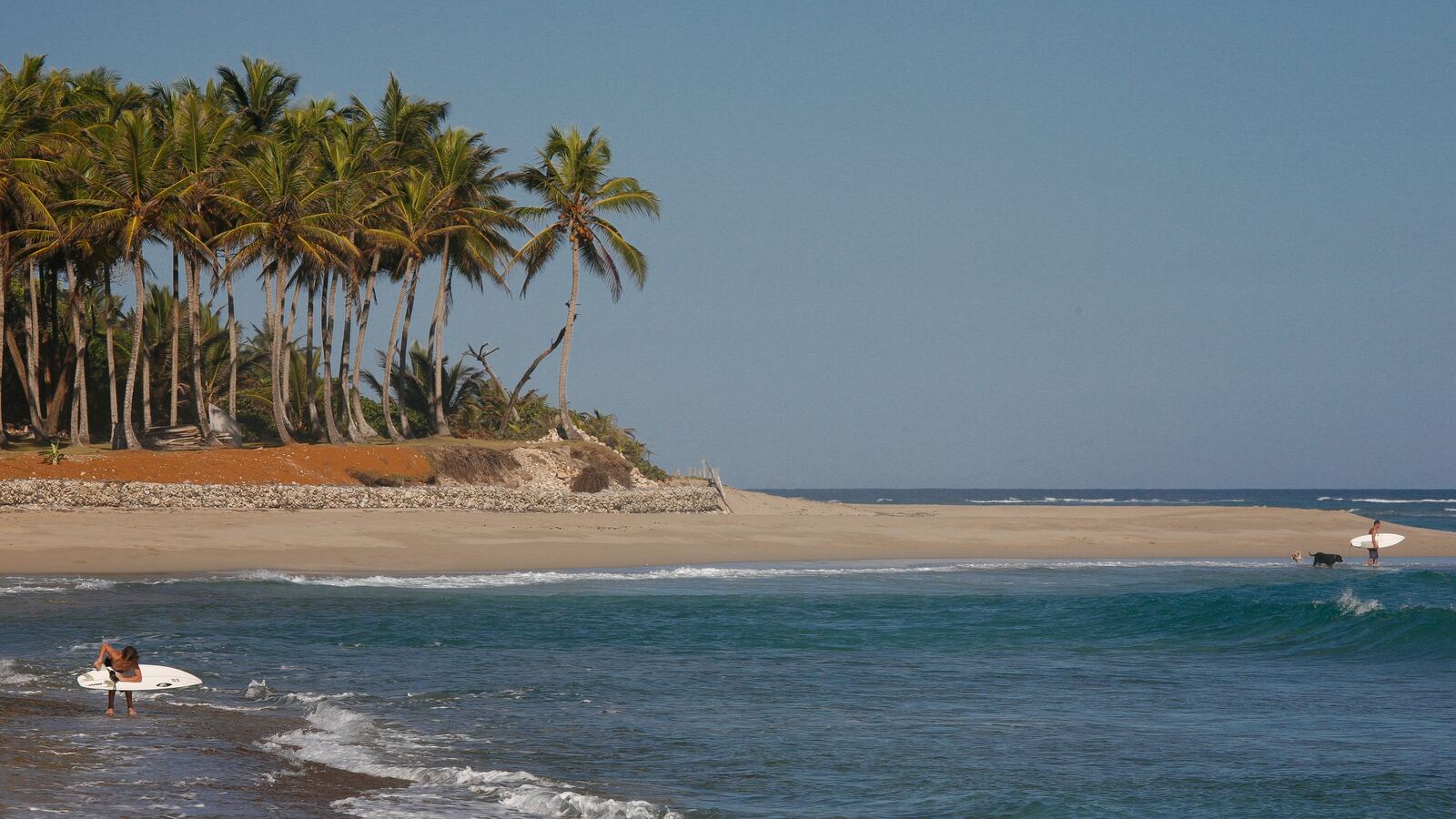 Palm trees line the shore at Cabarete on the Dominican Republic’s north coast, with a surfer in the turquoise waves.