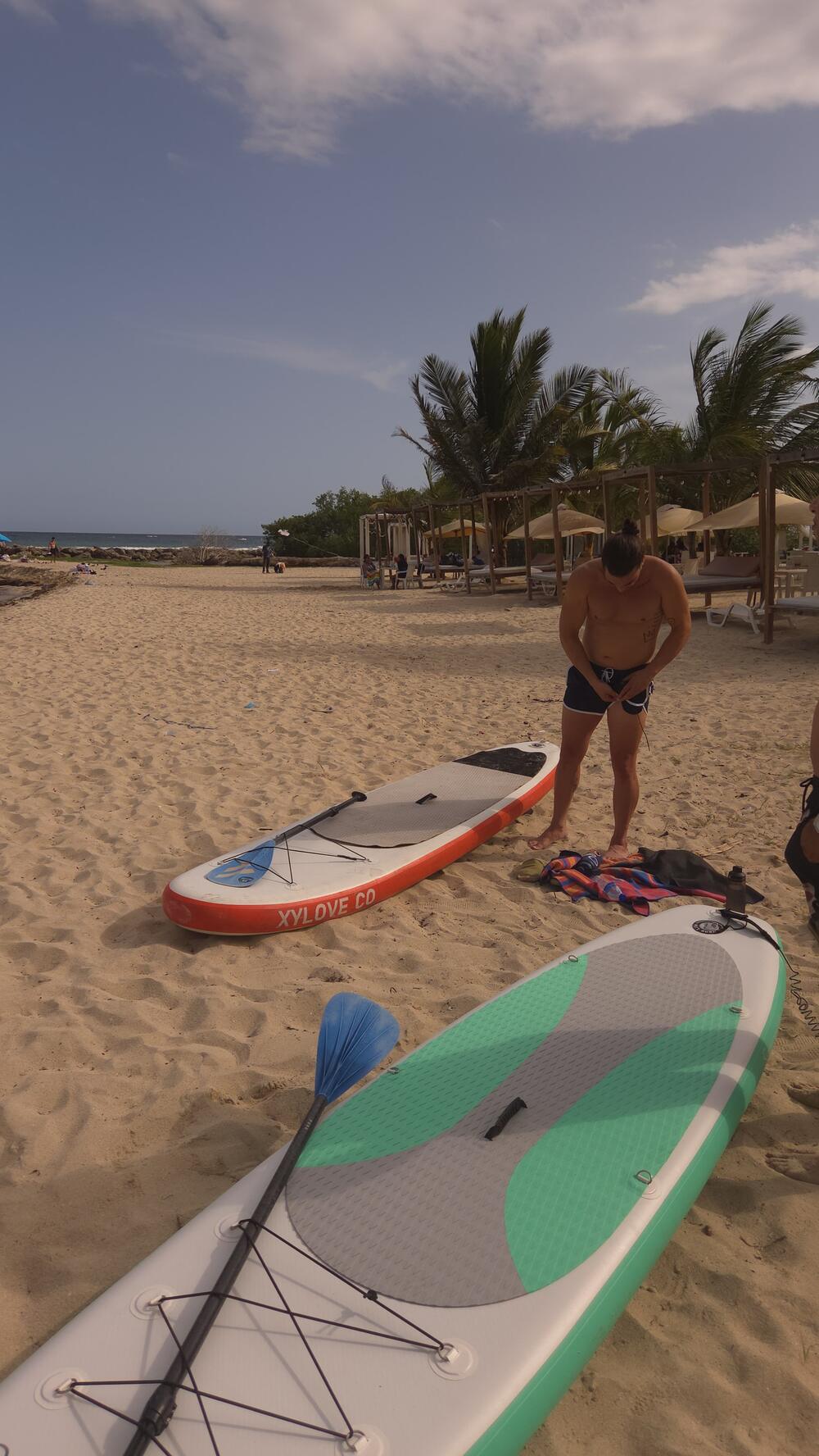 Paddleboards lie on golden sand under palm trees, ready for a session.